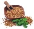Fenugreek seeds with green leaves Royalty Free Stock Photo