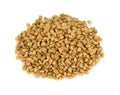 Fenugreek seeds , indian spice Royalty Free Stock Photo