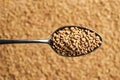 Fenugreek seeds on a metal spoon Royalty Free Stock Photo