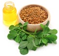 Fenugreek seeds with oil in bottle Royalty Free Stock Photo