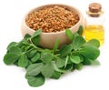 Fenugreek seeds with oil in bottle Royalty Free Stock Photo