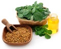 Fenugreek seeds with oil in bottle Royalty Free Stock Photo
