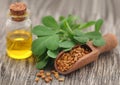 Fenugreek seeds with oil in bottle Royalty Free Stock Photo