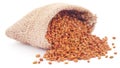 Fenugreek seeds in sack