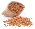 Fenugreek seeds in sack