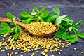 Fenugreek with leaf in spoon on board Royalty Free Stock Photo