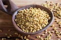 Fenugreek seeds on a wooden spoon Royalty Free Stock Photo