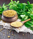 Fenugreek in spoon and bowl with green leaves on burlap Royalty Free Stock Photo