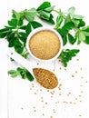 Fenugreek in spoon and bowl with leaves on light board top Royalty Free Stock Photo