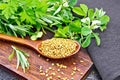 Fenugreek in spoon with herbs on black board Royalty Free Stock Photo