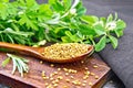 Fenugreek in spoon with herbs on board Royalty Free Stock Photo