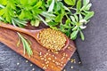 Fenugreek in spoon with herbs on board top Royalty Free Stock Photo