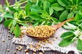 Fenugreek in spoon with leaves on dark board Royalty Free Stock Photo