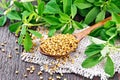 Fenugreek in spoon with leaves on wooden board Royalty Free Stock Photo