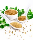 Fenugreek in two spoons and bowl with leaves on wooden board Royalty Free Stock Photo