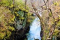 Feral part of tranquil river Coe, Ballaculish Royalty Free Stock Photo