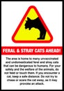 Feral and Stray Cats ahead sign print ready vector illustration Royalty Free Stock Photo