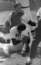 Ferguson Jenkins, Boston Red Sox Royalty Free Stock Photo