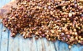 Fermentation dry coffee beans honey wet process organic specialty robusta in thailand