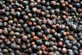 Fermentation fruit dry coffee beans honey wet process organic specialty robusta in thailand