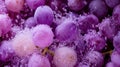 Fermentation Vat Filled With Grape Skins and Juice Showcasing the Winemaking Process in Detail Royalty Free Stock Photo
