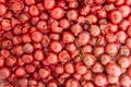 Fermented cherries for the preparation of fruit distillate spirit drink.