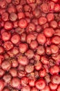Fermented cherries for the preparation of fruit distillate spirit drink. Close-up texture photo.