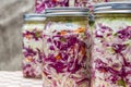 Fermented or cultured vegetables Royalty Free Stock Photo