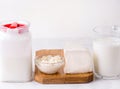 Fermented dairy products such as kefir and cheese on a white background.