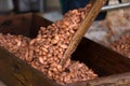 Fermented and fresh cocoa-beans lying in the wooden box