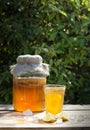Fermented Kombucha drink in a glass jar and a glass with a drink and lemon in the foreground, on a Sunny summer day in the garden.