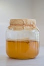 Fermented Kombucha Tea