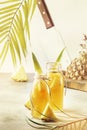 Fermented Pineapple Kombucha Drink - Tepache. Homemade probiotic superfood tea with juice. Healthy flavored drink. Copy space