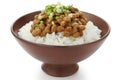 Fermented soy beans on rice , japanese food