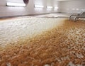 Fermenting of a beer Royalty Free Stock Photo
