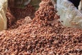 Fermenting cocoa beans to make chocolate