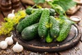 Fermenting cucumbers, cooking recipe salted or marinated pickles with garlic and dill