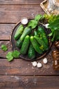 Fermenting cucumbers, cooking recipe salted or marinated pickles with garlic and dill