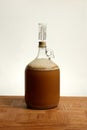 Fermenting Homebrew Beer Royalty Free Stock Photo