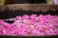 Fermenting rose water Royalty Free Stock Photo