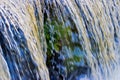 Fern behind the waterfall