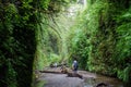 A family hiking through fern canyon with walls of ferns, a beautiful site in prairie creek redwoods state park, California