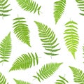 Fern frond silhouettes seamless patte Royalty Free Stock Photo