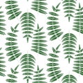 Fern green leaves seamless vector pattern. Royalty Free Stock Photo