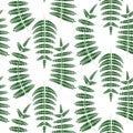 Fern green leaves seamless vector pattern.