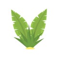 Fern green tropical leaves cartoon vector illustration