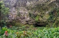 Fern Grotto , Kauai Royalty Free Stock Photo