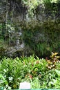 Fern Grotto at Wailua River State Park on Kauai Island in Hawaii Royalty Free Stock Photo
