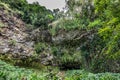 Fern Grotto in wide cliff near Kamokila Village, Kauai, Hawaii, USA Royalty Free Stock Photo