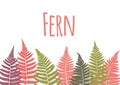 Fern leaf background. Tropical botanical card.